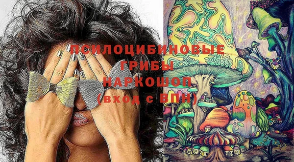 кокс Армянск