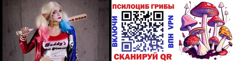 Купить  Суворов  Галлюциногенные грибы Psilocybe 